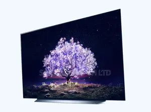 LG OLED TV 65 Inch G1PVA Cinema Screen Design