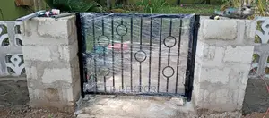 Metal Windows