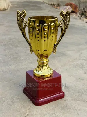 Original Trophies for Kids Awards at Cool Price