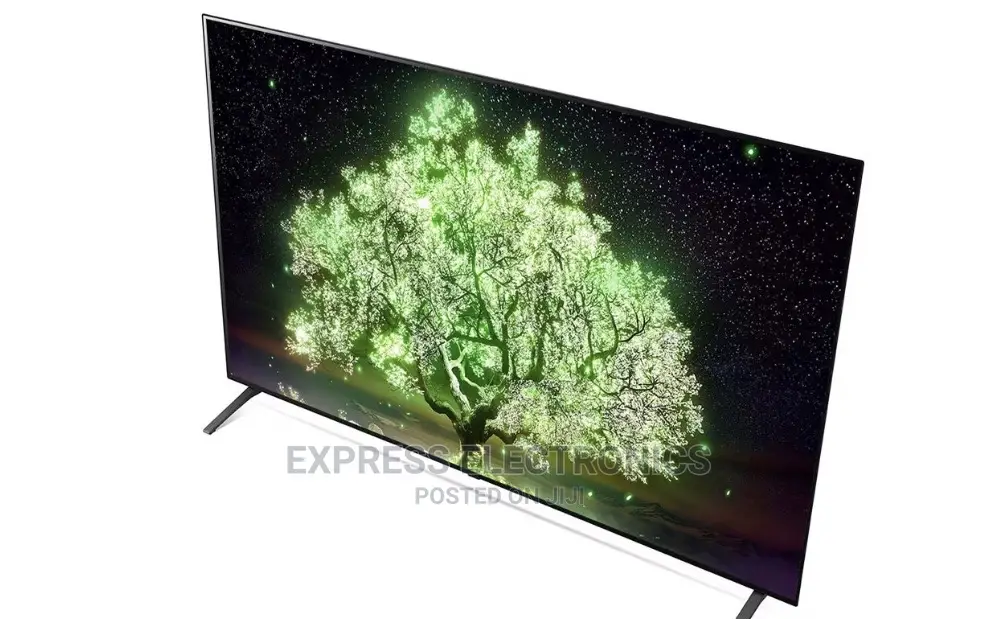 Get Good Deal on OLED OLED65A1PVA UHD Smart LG Tv