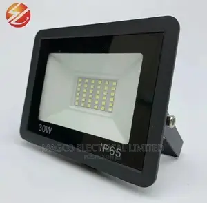 Flood Light 30w