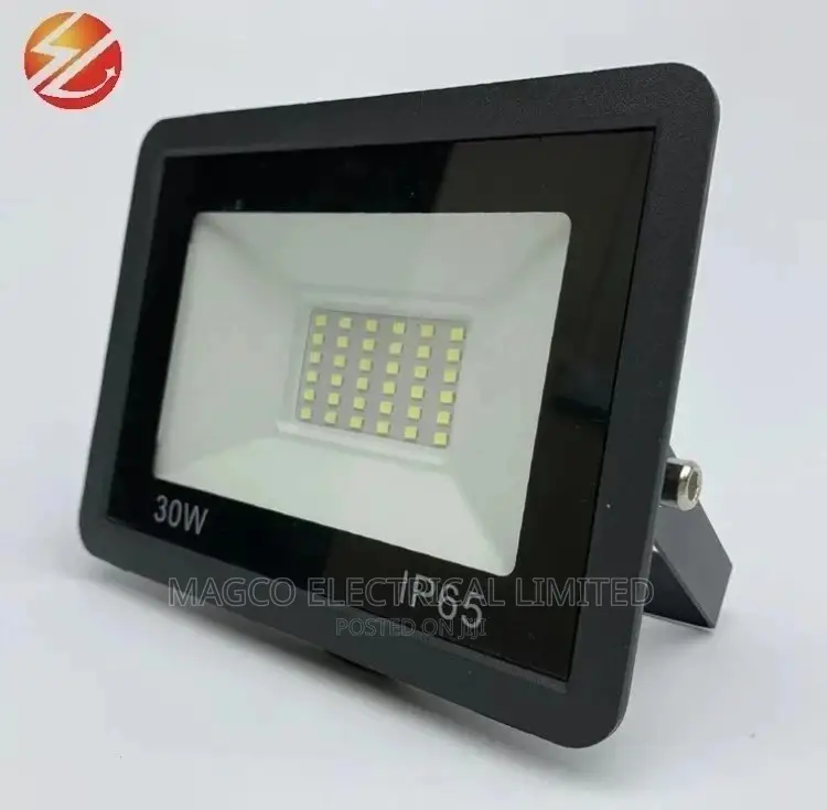 Flood Light 30w