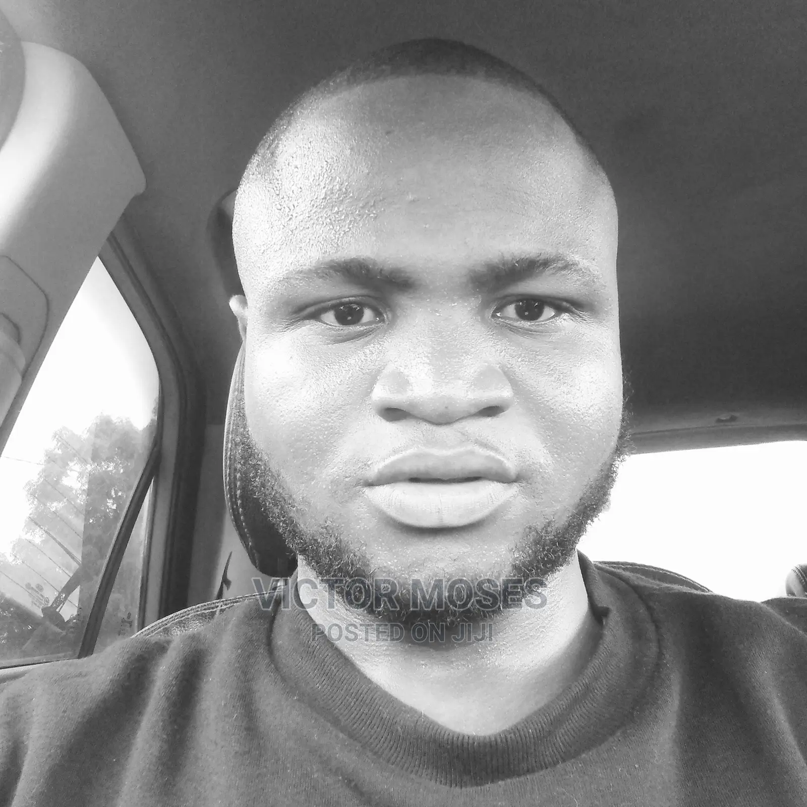 Driver With Licence B Looking for Employment