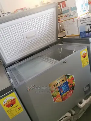 Delron Chest Freezer 258L