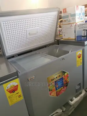 Latest Delron Chest Freezer 258L