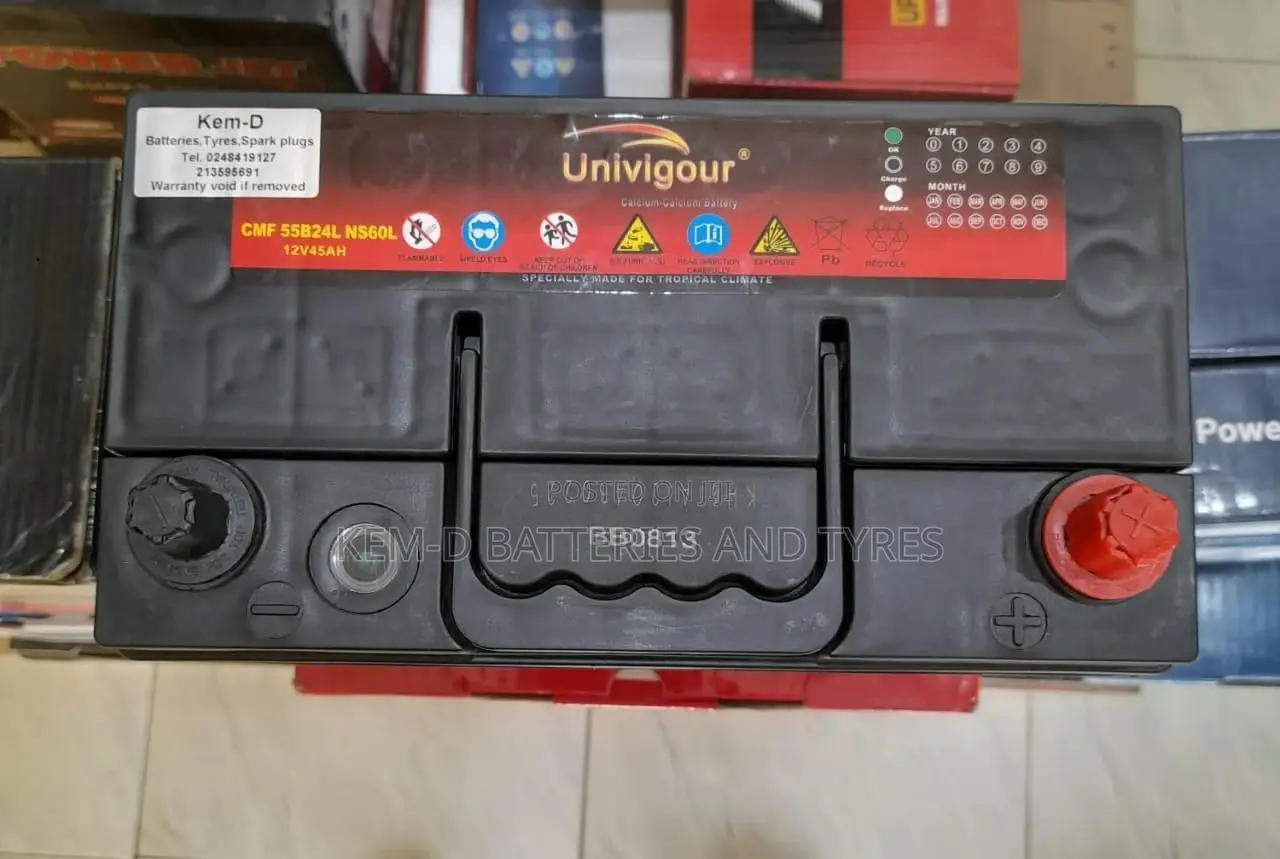 Vitz and Belta Battery