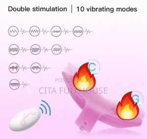 Wearable Pantie Vibrator G-Spot Stimulator With Remote
