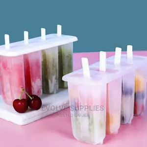 Plastic Popsicle Mould ( 4 Slot)
