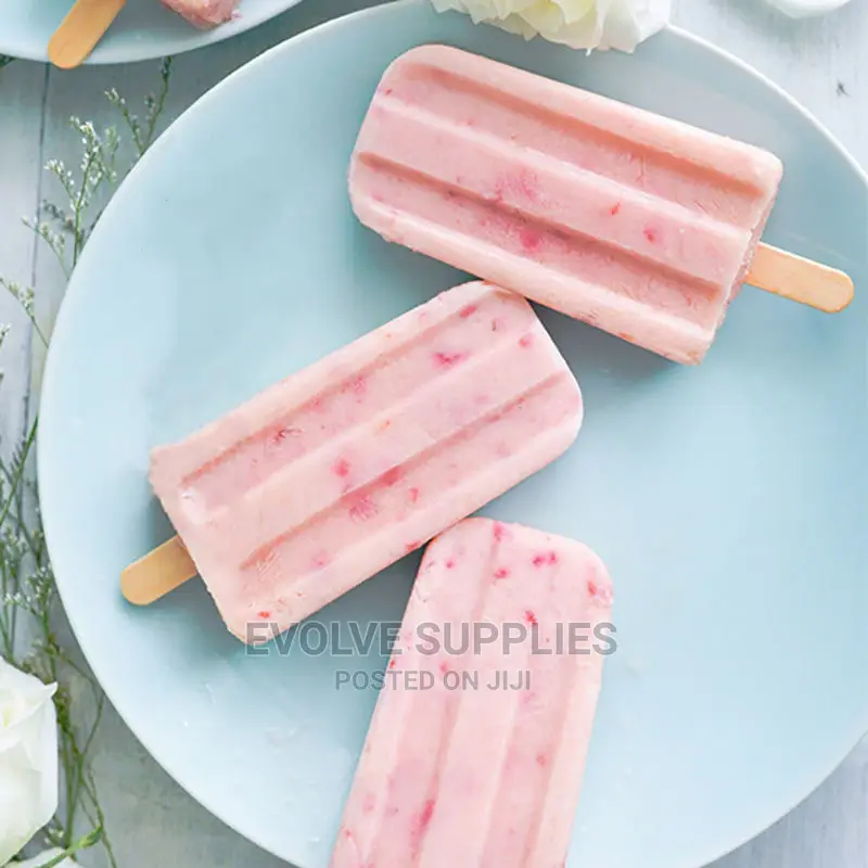 Plastic Popsicle Mould ( 4 Slot)