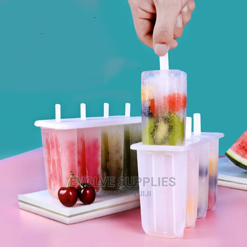 Plastic Popsicle Mould ( 4 Slot)