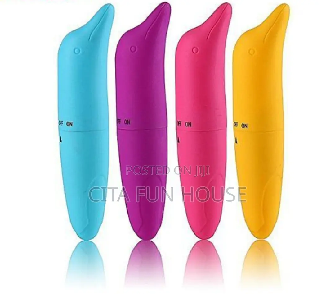Bullet Vibrator Mini Dolphin