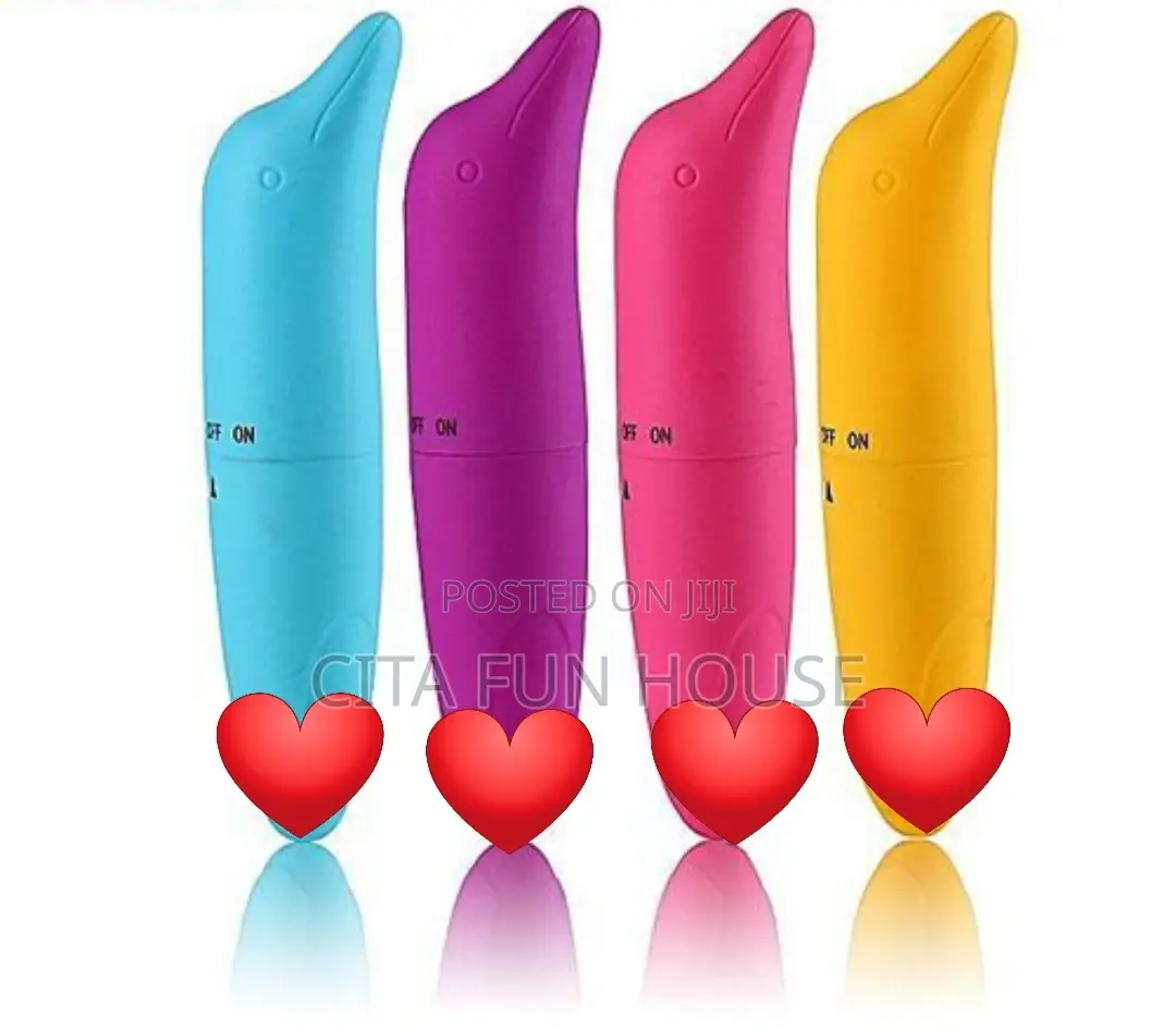 Bullet Vibrator Mini Dolphin