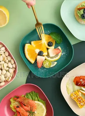 Small Plastic Plate For All Purpose