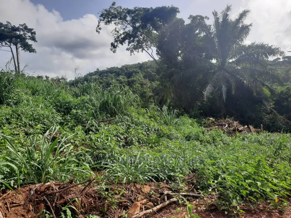 80acres of Land for Sale at Aburi 
 Is Ghc150,000 Per Plots
