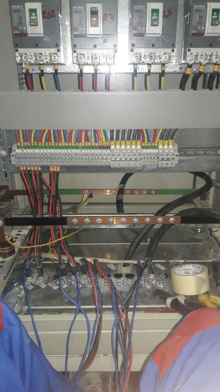 Domestic Electrician