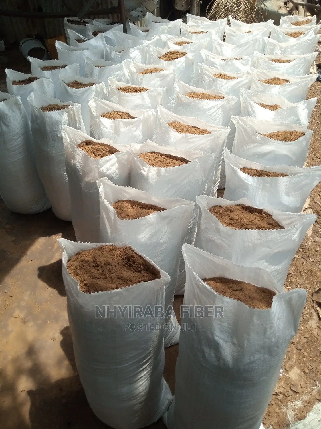 Cocopeat for Sale