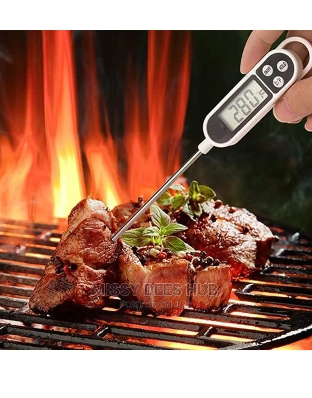 TP300 Digital Food Thermometer