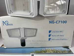 Stand Alone Wi-Fi Camera With Smart Floodlight Ng-C7100