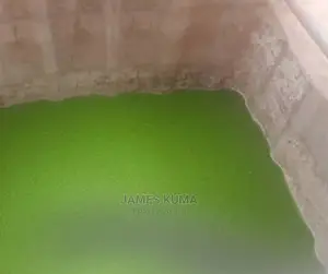High Protein Azolla/Duck-Weeds for Poultry/Livestock Feeds.