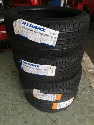225/45r18 Rydanz Tire