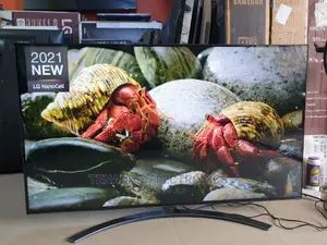 55"Lg Uhd/HDR Nanocell Smart Satellite Tv