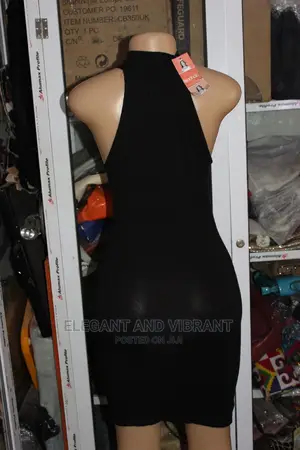 Beautiful Ladies Bodycon Dress