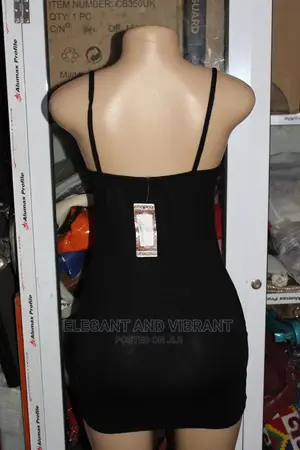 Brand New Simple Ladies Dress