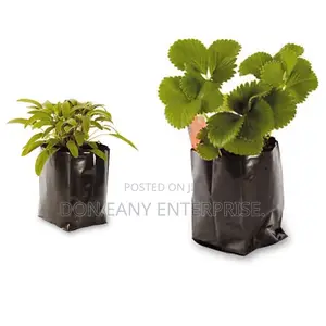 Plastic Nursery Bags