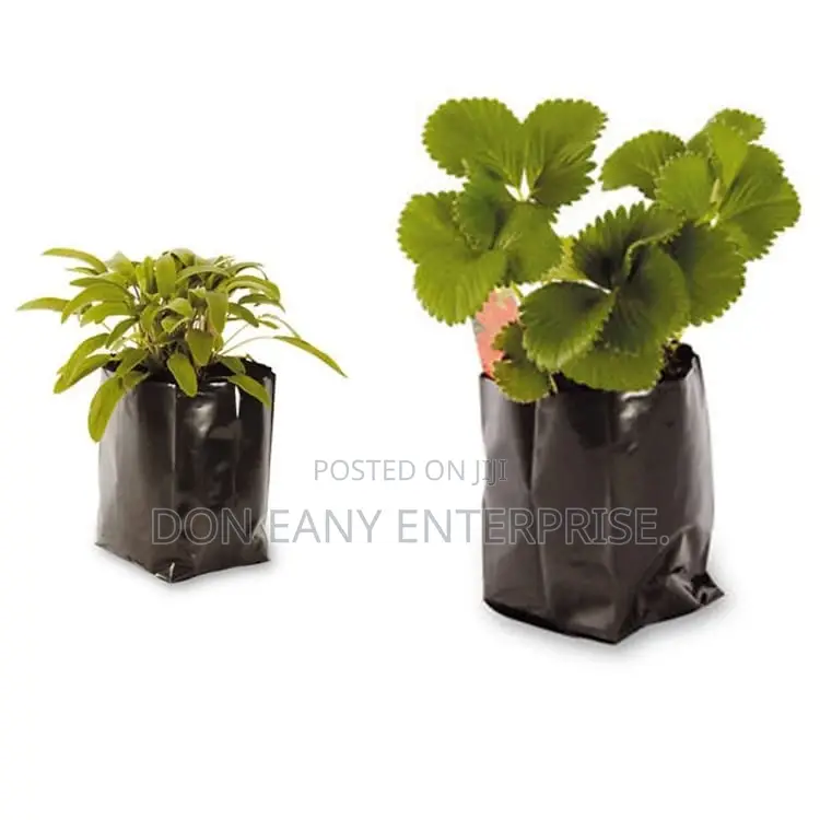 Plastic Nursery Bags