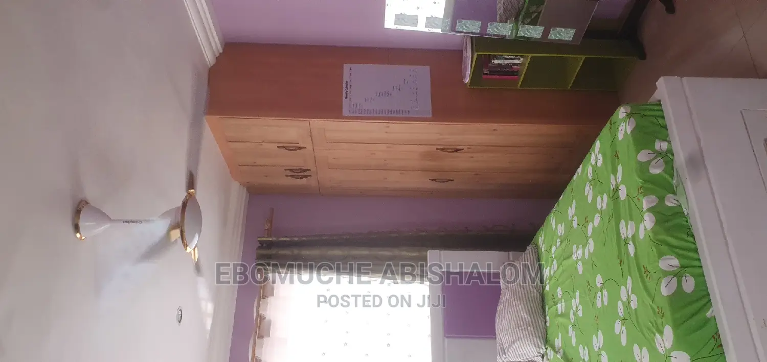 Professional Painter,Skimming,Grafiato and Wall Treatments