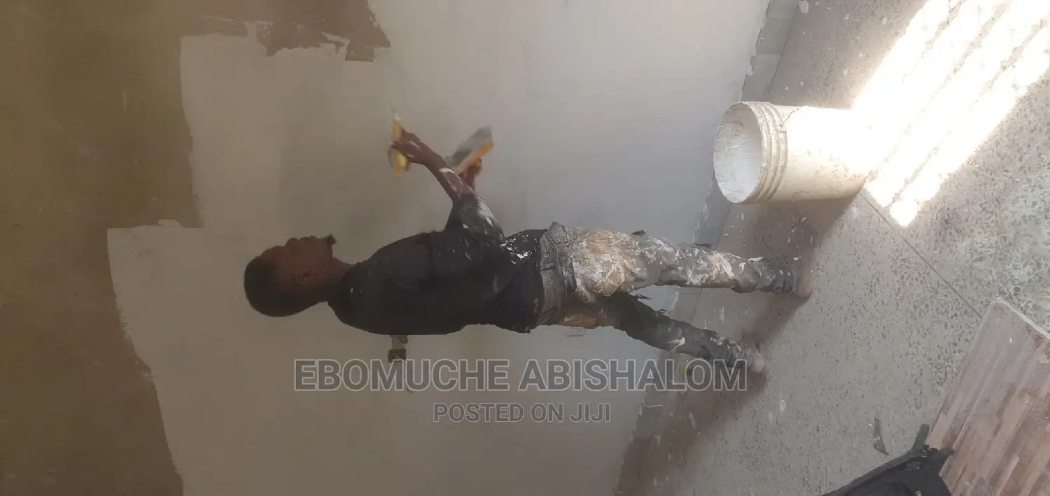 Professional Painter,Skimming,Grafiato and Wall Treatments