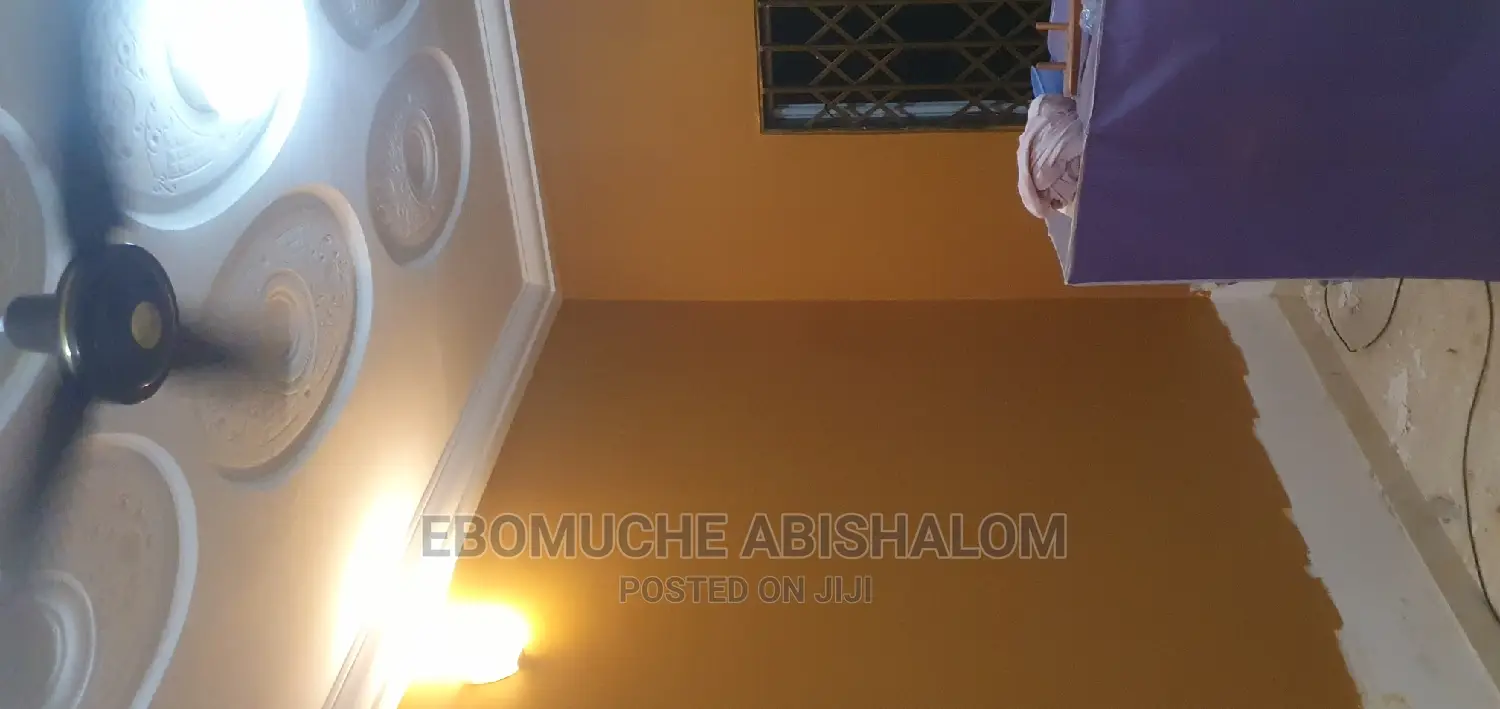 Professional Painter,Skimming,Grafiato and Wall Treatments
