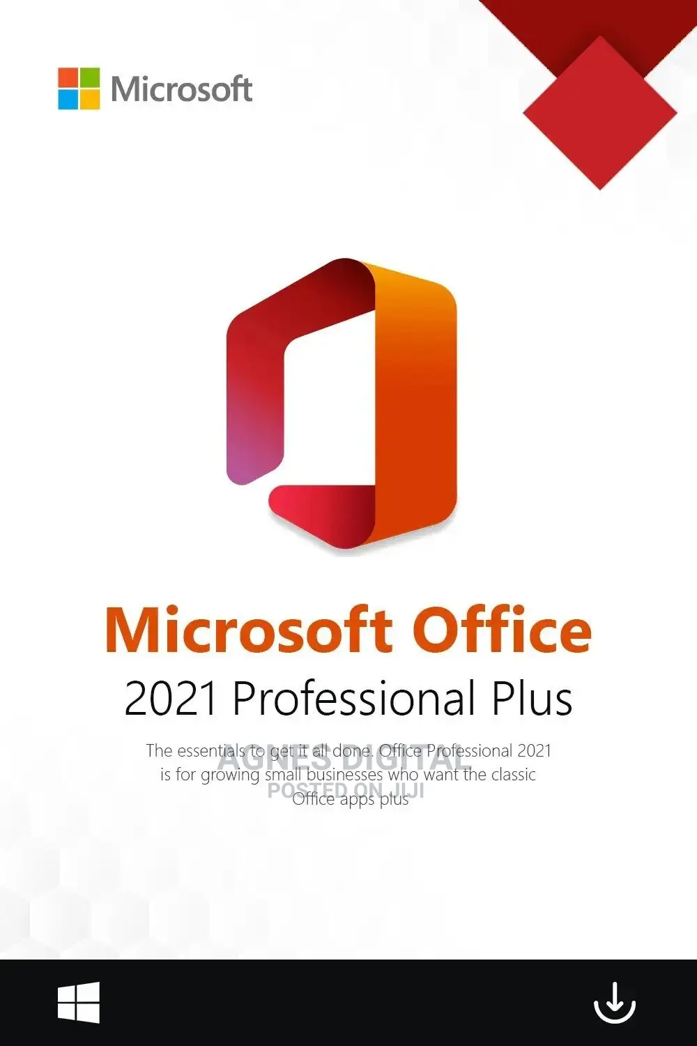 Microsoft Office Professional Plus 2021 2pc Email Delivery