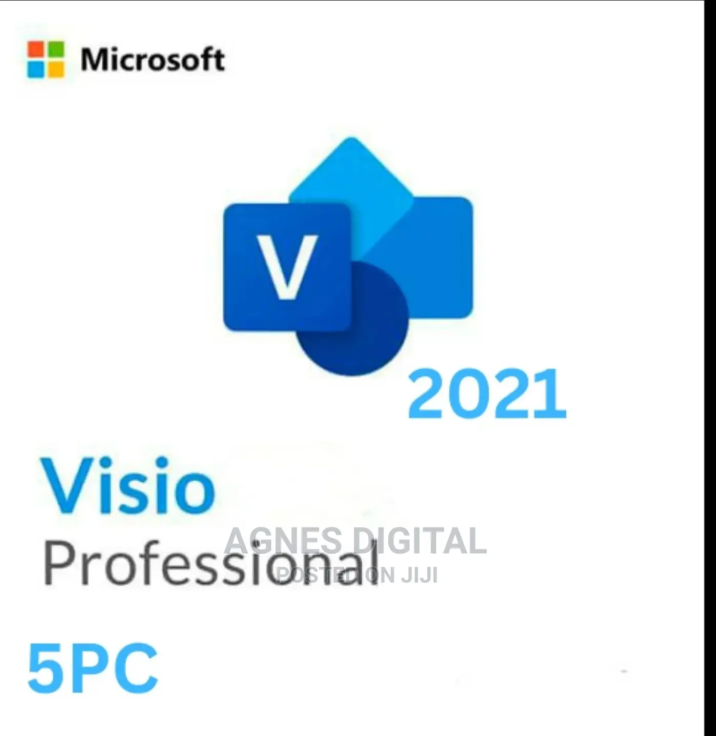 Microsoft Visio 2021 Professional 5PC Key (Email Delivery)