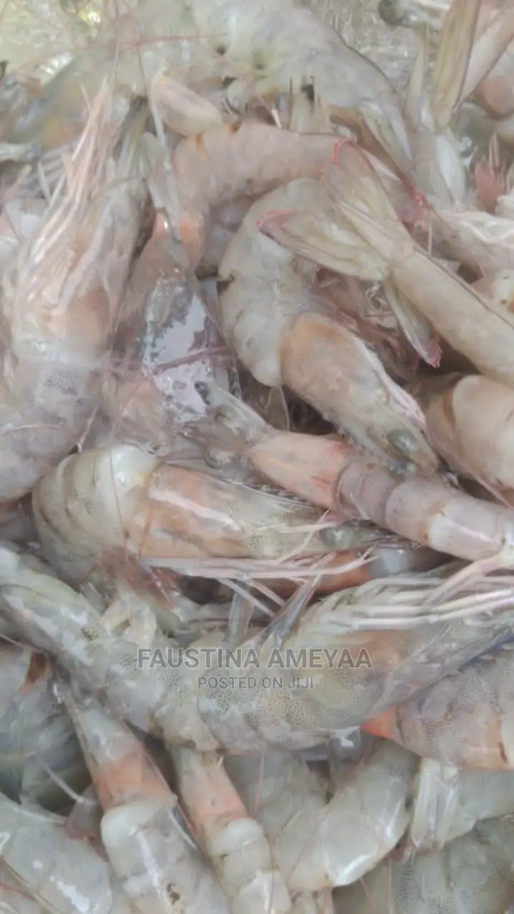 Fresh Clean Prawns and Shrimps