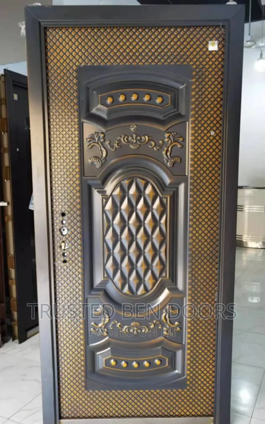 Paladin Security Doors [Anti_rust] For Harsh Conditions