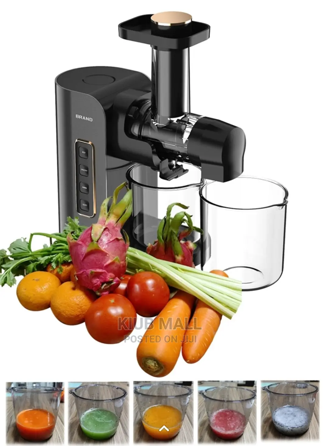 Masticating Slow Juicer