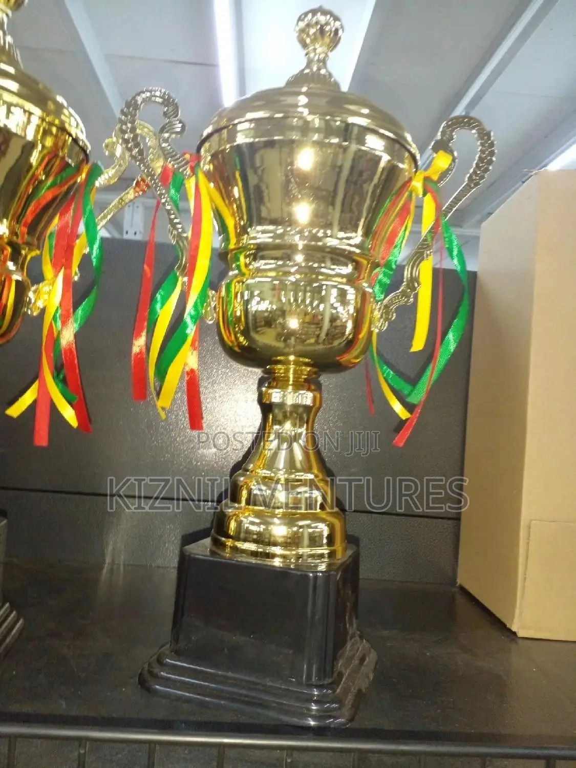 Award Trophy B