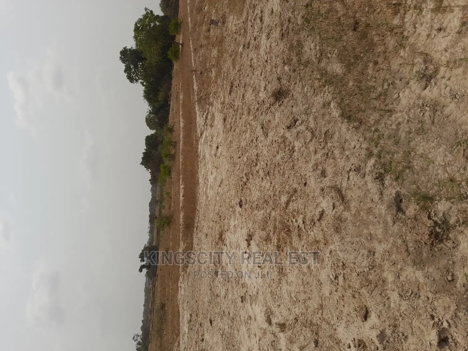 Don't Be Left Out, Buy Land Today