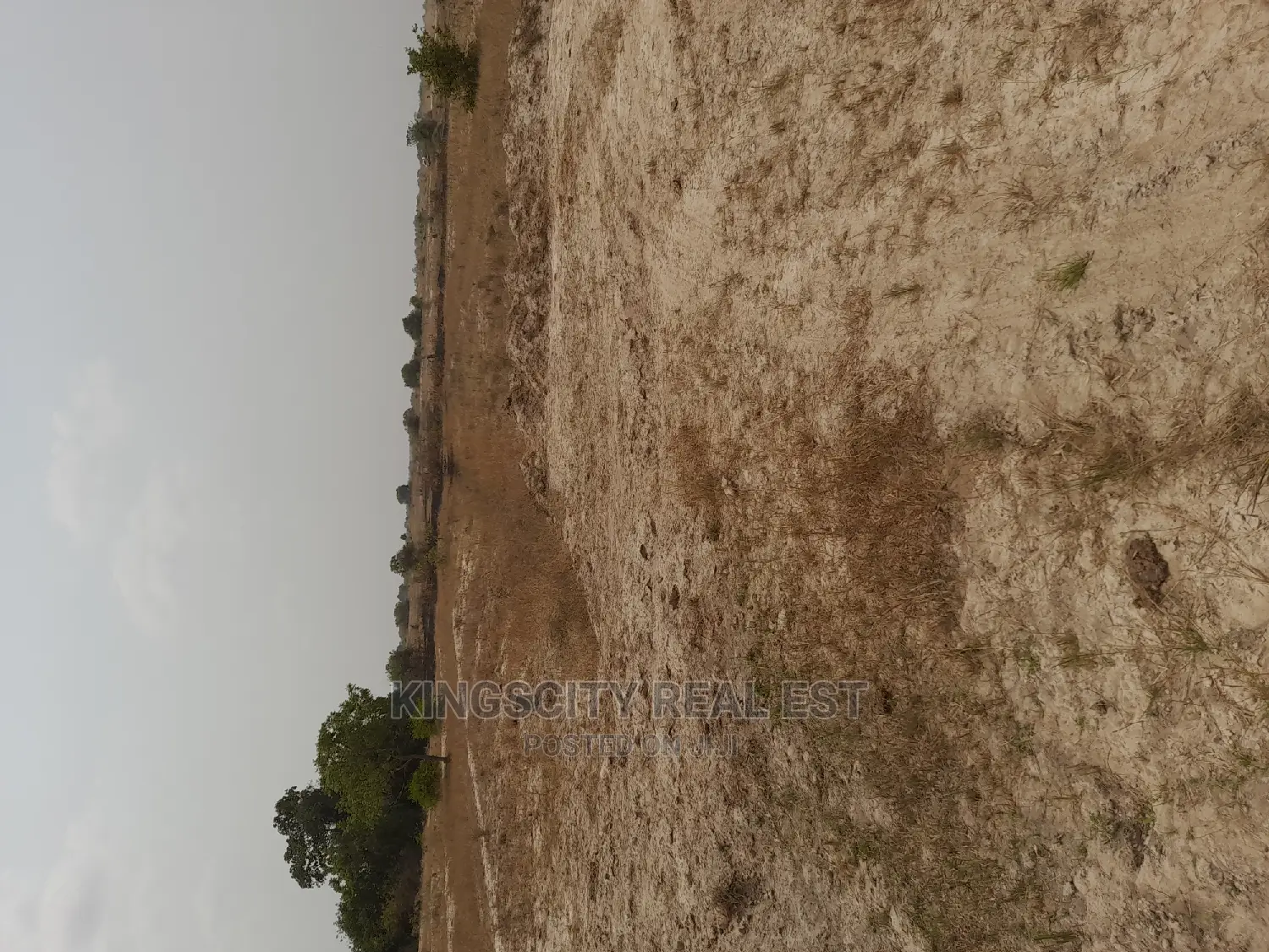 Don't Be Left Out, Buy Land Today