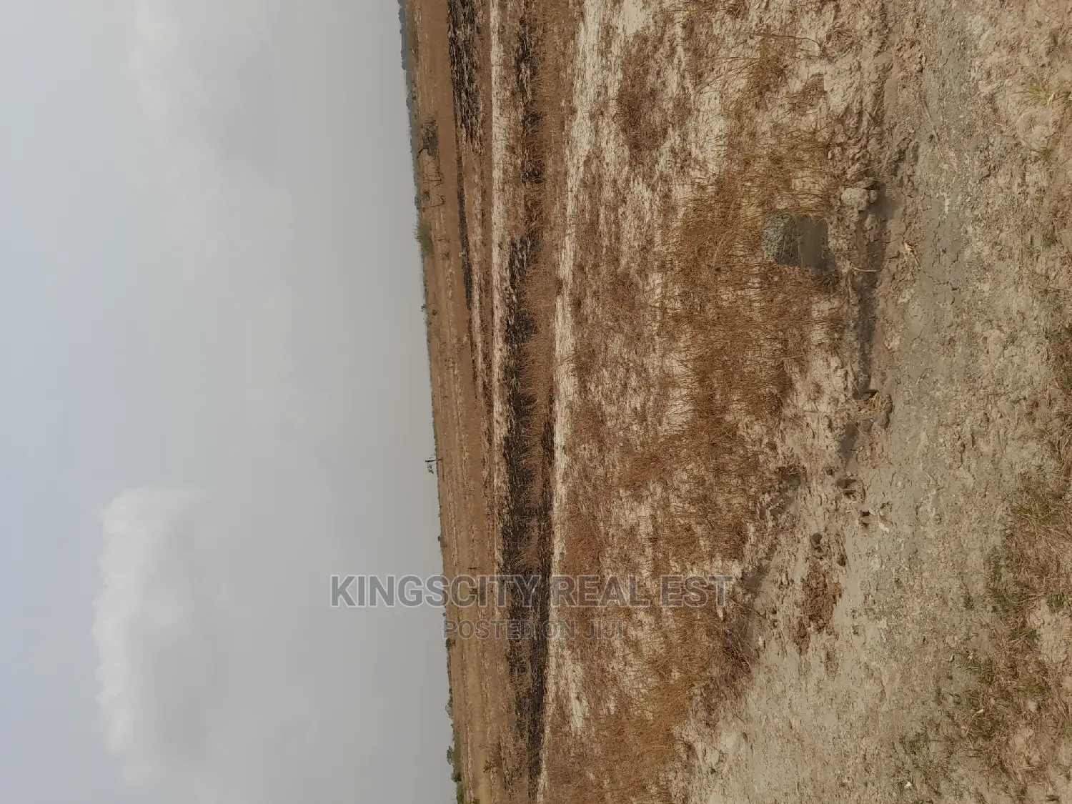 Land Is the Only Thing That Can't Fly Away