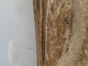 Land Is the Only Thing That Can't Fly Away