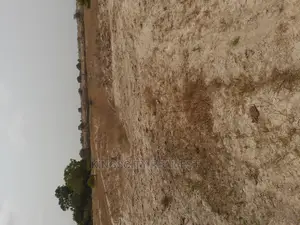 Dreams Comes Through