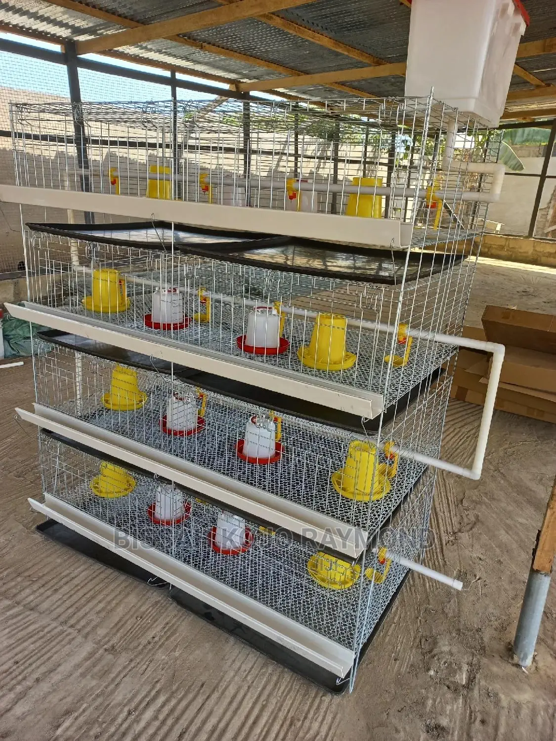 Day Old Cages