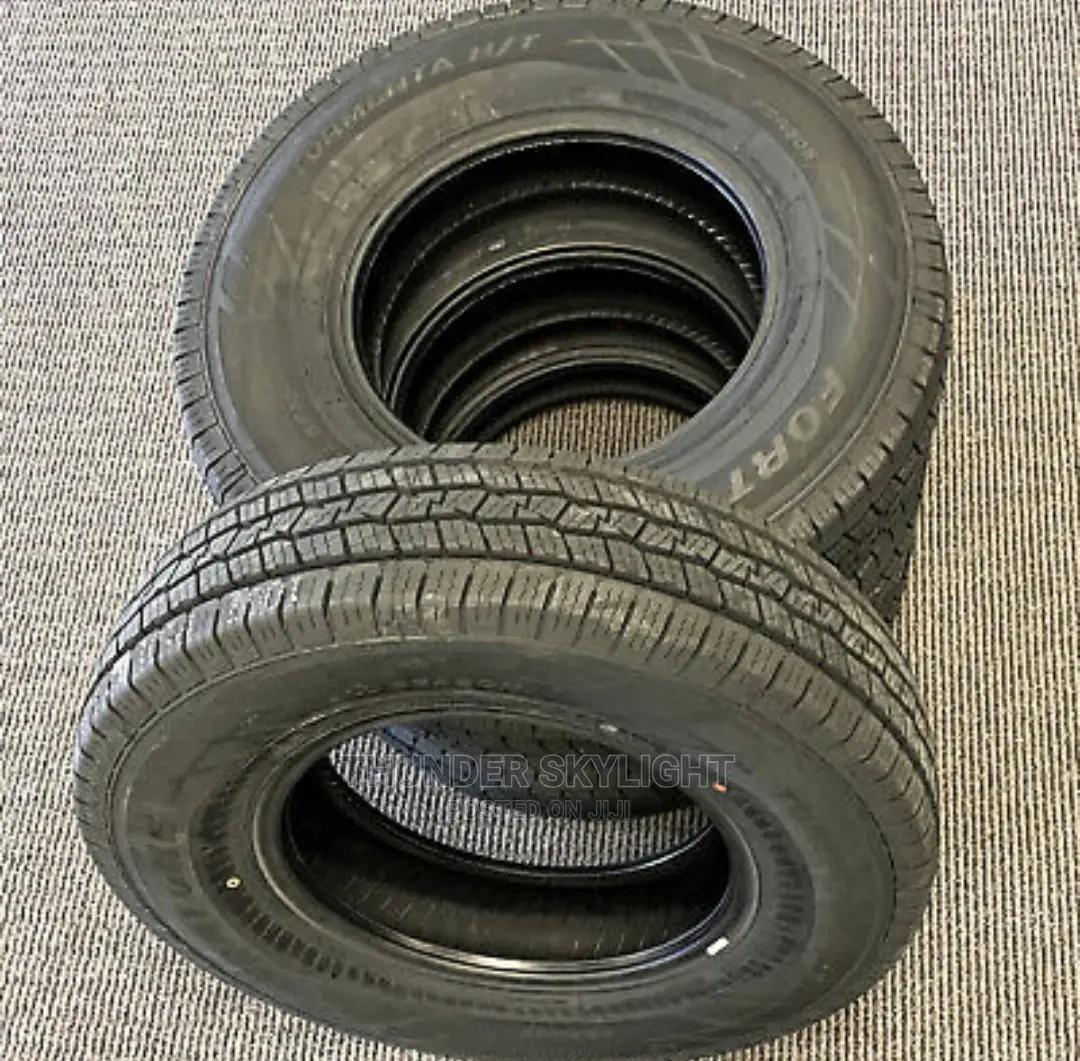 245/65r17 Fortune All Season Tire