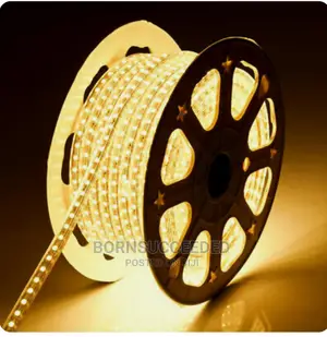 230v Led Strip Light SMD 100 Metre Waterproof