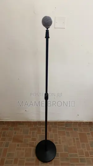 Modern Microphone Stand