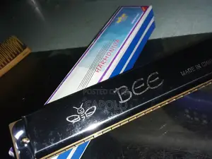 24 Hole Tremolo Harmonica