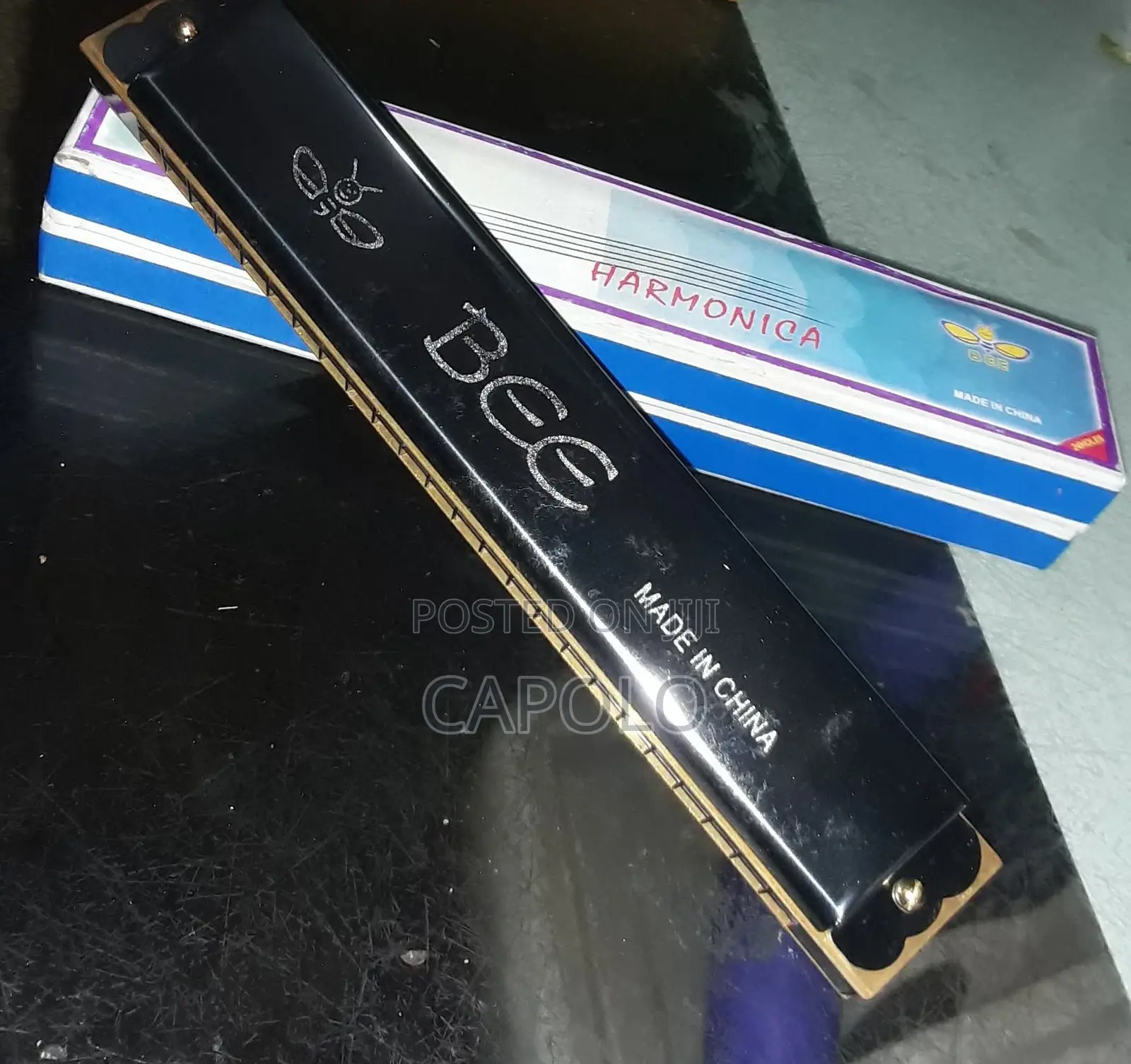 24 Hole Tremolo Harmonica