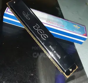 24 Hole Tremolo Harmonica